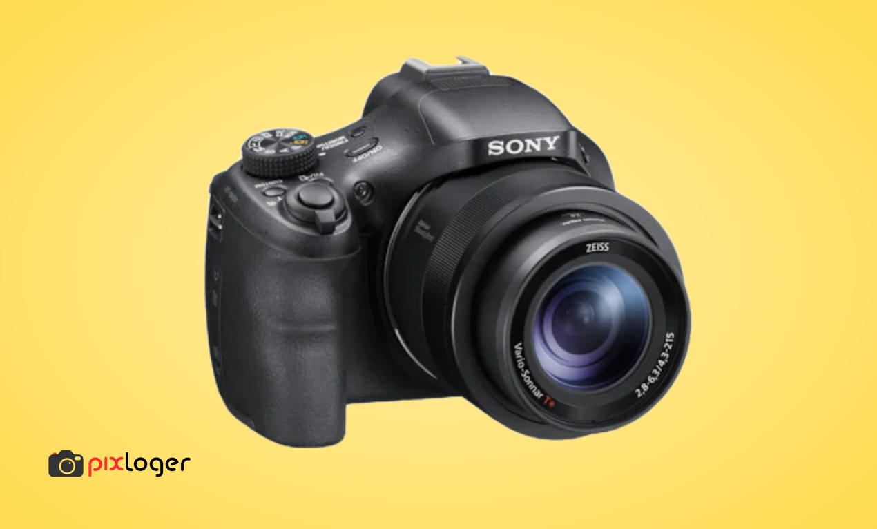 Best Bridge Cameras PixLoger